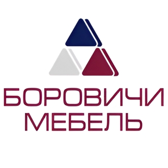 Боровичи