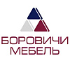 Боровичи