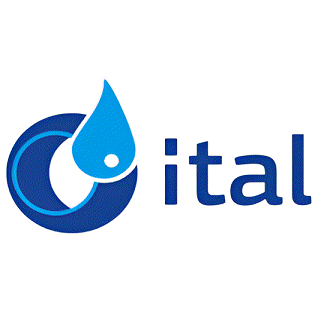Ital